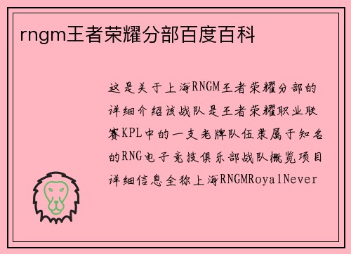 rngm王者荣耀分部百度百科